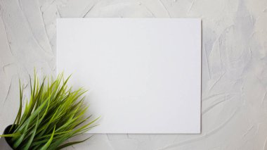 Gri dokulu beton arka plan, tasarım için kopyalama alanı.