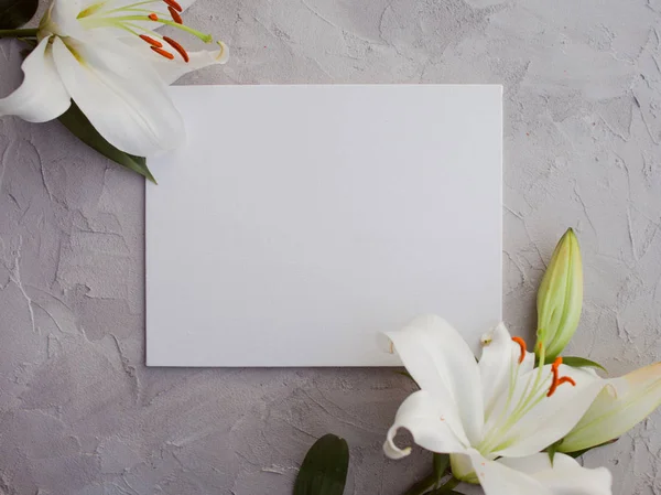 Design minimaliste élégant avec des lis blancs sur un fond gris texture de ciment . — Photo