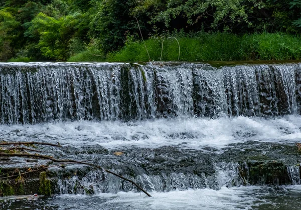 Erdő Szép Kis Vízesés — Stock Fotó