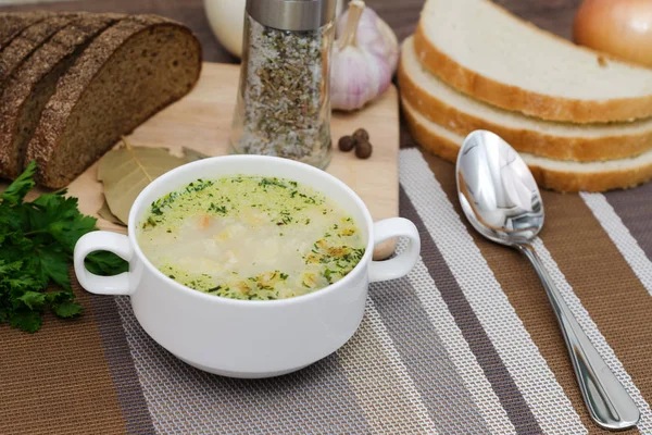 Suppe Mit Frischem Gemüse Und Brot — Stockfoto