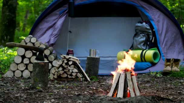 Feu Brûlant Des Grumes Brûlent Arrière Plan Une Tente Touristique — Video