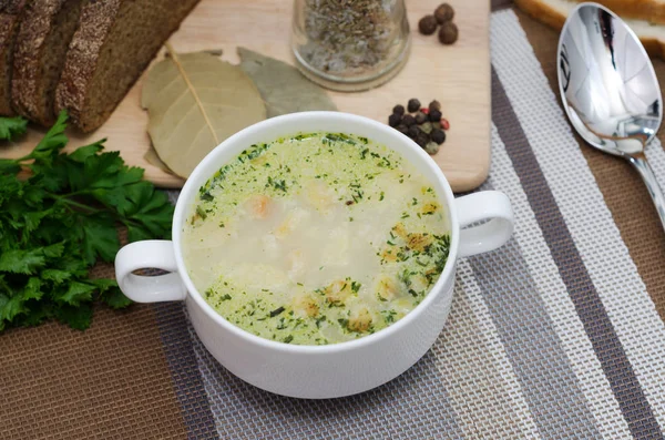 Suppe Mit Frischem Gemüse Und Brot — Stockfoto