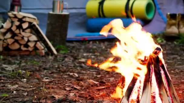 Yanan Bir Ateş Günlükleri Bir Turist Çadır Arka Planda Yanmak — Stok video