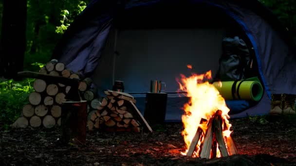 Feu Brûlant Des Grumes Brûlent Arrière Plan Une Tente Touristique — Video