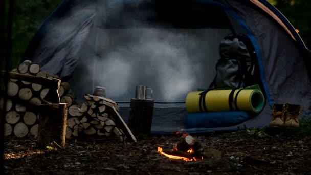 Feu Brûlant Des Grumes Brûlent Arrière Plan Une Tente Touristique — Video