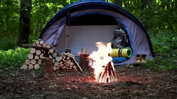 Feu Brûlant Des Grumes Brûlent Arrière Plan Une Tente Touristique — Video