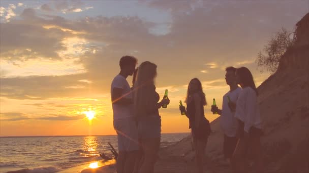 Amici Che Accarezzano Bottiglie Birra Sulla Spiaggia Durante Tramonto — Video Stock