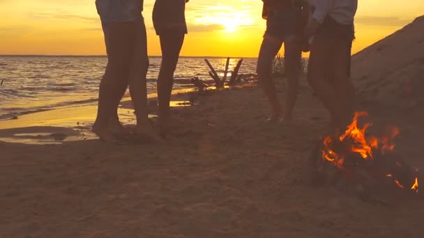 Amici Che Accarezzano Bottiglie Birra Sulla Spiaggia Durante Tramonto — Video Stock