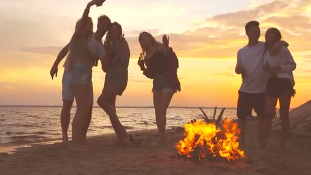Group People Beach Bonfire — Stock Video