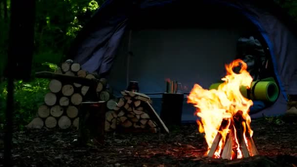 Camping Avec Feu Dans Nature Sauvage Camping Clasic — Video