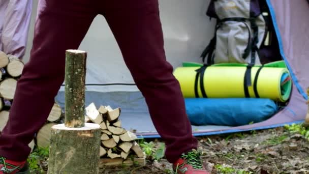 Split Yakacak Odun Kaldırmak Doğada Bir Balta Ile Odun — Stok video