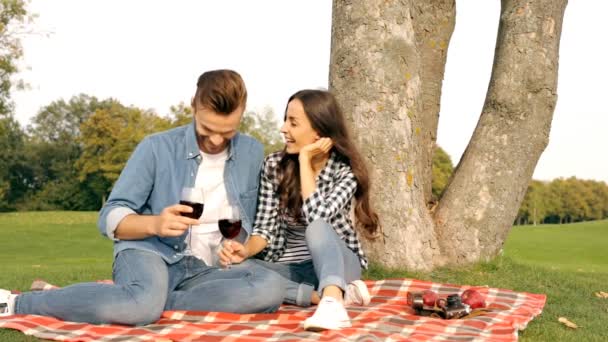 幸福的夫妇在绿色的草坪上享受 那个男的和那个女孩在野餐时喝酒 — 图库视频影像