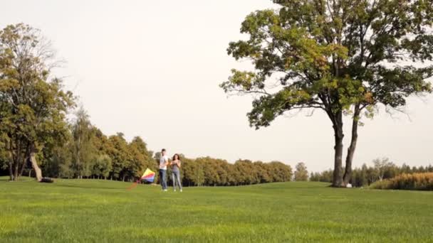 Joyeux Couple Volant Cerf Volant Sur Une Pelouse Verte Dans — Video