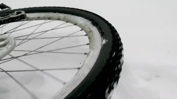 このビデオでは 自転車の車輪を見ることができます 自転車のホイールのクローズ アップ つの側面にある冬木の自転車 — ストック動画