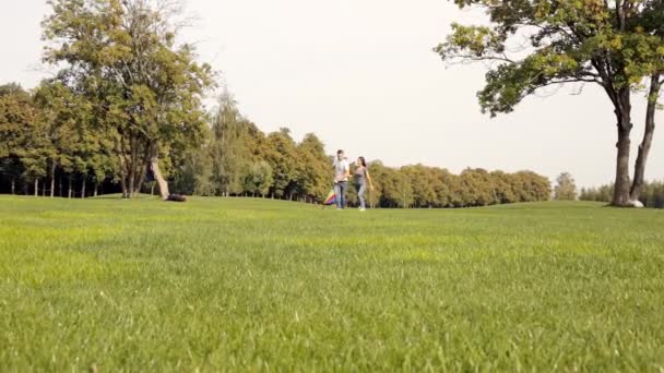 Šťastný Pár Pouštění Draka Zeleném Trávníku Parku — Stock video