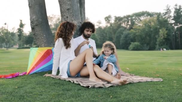 公園の草の上に座っている父母と小さな娘 — ストック動画