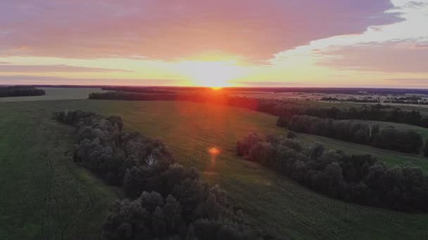 空気から夕日のビデオ 陸上では太陽が地平線の後ろに隠れていた — ストック動画