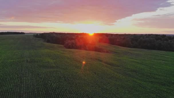 空気から夕日のビデオ 陸上では太陽が地平線の後ろに隠れていた — ストック動画