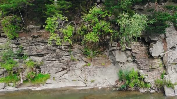 Rio Montanha Flui Entre Margens Rochosas Floresta — Vídeo de Stock