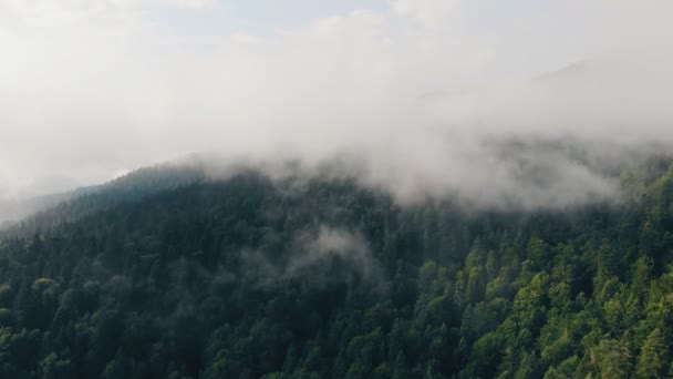 在美丽的高山上 云间飞舞 — 图库视频影像