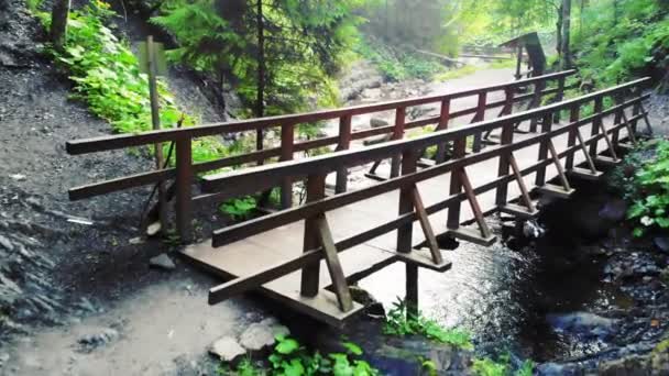 Fjellelv Flyter Mellom Steinete Strendene Skogen – stockvideo