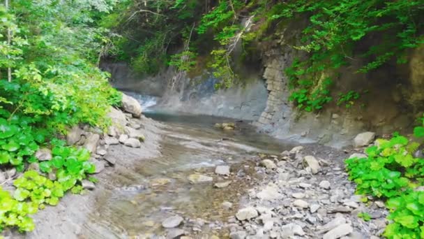 一条山河在森林的岩石海岸之间流淌 — 图库视频影像