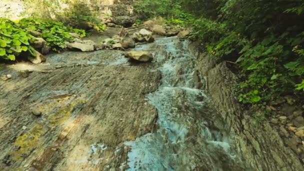 Fiume Montagna Scorre Tra Sponde Rocciose Della Foresta — Video Stock