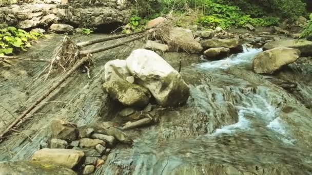 山の川が森の岩の海岸の間を流れる — ストック動画