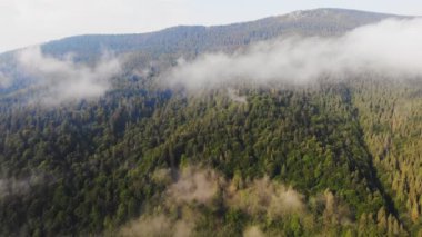Bulutların arasındaki güzel dağların üzerinde uçan drone.