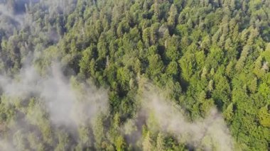 Bulutların arasındaki güzel dağların üzerinde uçan drone.