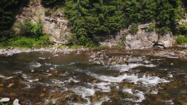 Ein Gebirgsfluss Fließt Zwischen Den Felsigen Ufern Wald — Stockvideo