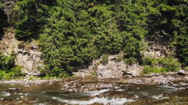 一条山河在森林的岩石海岸之间流淌 — 图库视频影像