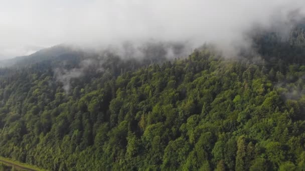 Vuelo Drone Sobre Hermosas Montañas Entre Las Nubes — Vídeo de stock