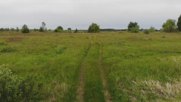 Filmagem Tirada Drone Vista Planalto Rural Dia Verão Ensolarado — Vídeo de Stock