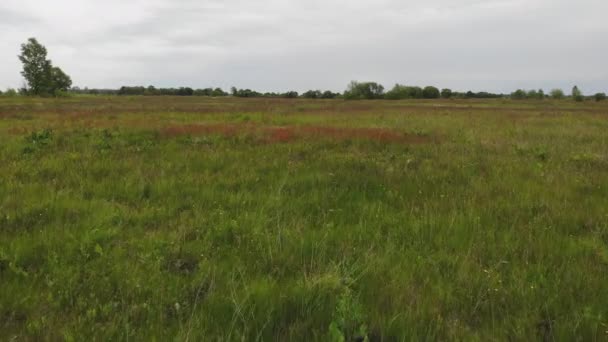 Des Images Tirées Drone Vue Sur Les Hautes Terres Rurales — Video