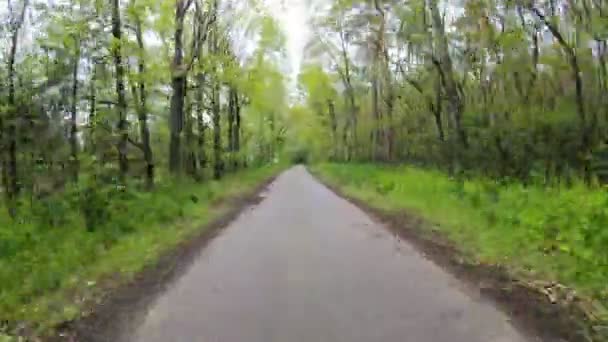 Hyperlapse Camera Beweegt Langs Een Bosweg Rond Groene Bomen — Stockvideo