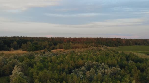 Nagranie Lotu Ptaka Krajobrazu Wsi Czas Fotografowania Godzina Złota — Wideo stockowe