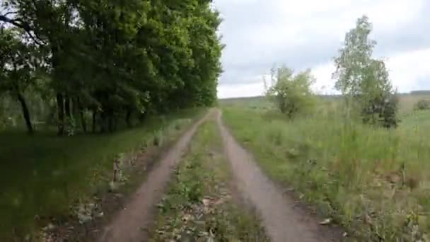 摄像机沿着森林的道路移动 在绿树周围 — 图库视频影像