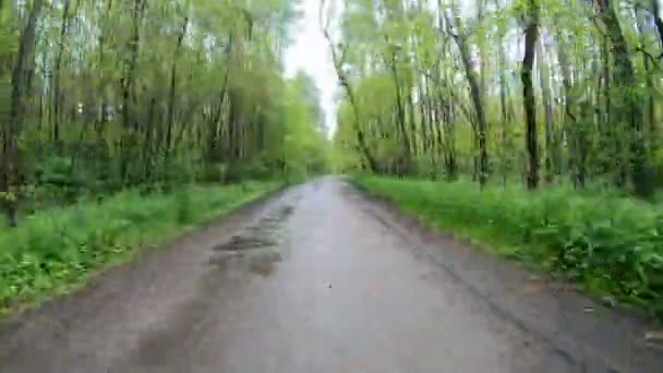 Hyperlapse Camera Beweegt Langs Een Bosweg Rond Groene Bomen — Stockvideo