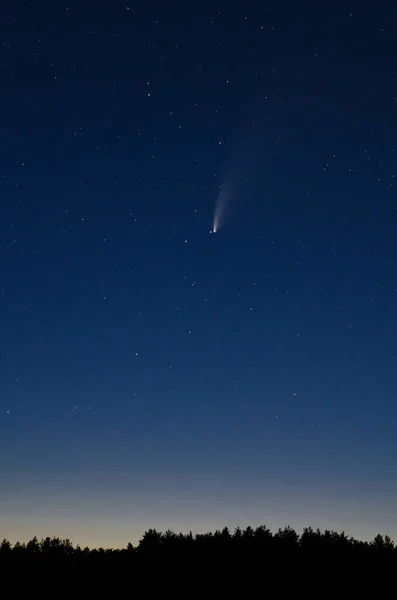 Vista Cometa 2020 Neowise Close Noite Entre Estrelas Mais Brilhante Imagens Royalty-Free