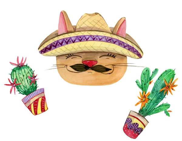 Mexikói macska és kaktuszok — Stock Fotó