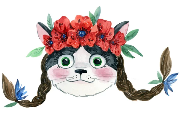Cat with braids in flowers — Stock Photo, Image