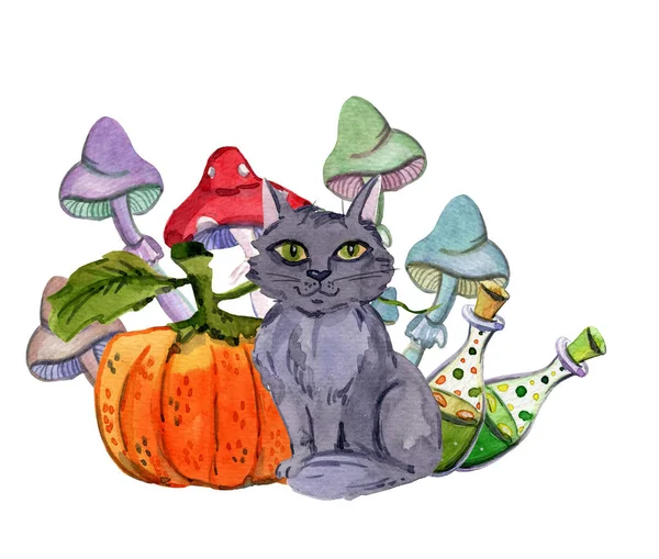 Хеллоуїн кіт з гарбузом і грибами — стокове фото