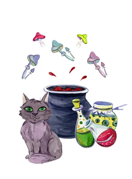 万圣节猫和药水 — 图库照片