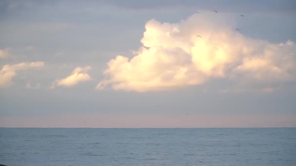 Beautiful Horizon Line Sea Sky Large Sunlit Cloud Birds Fly — Stock Video