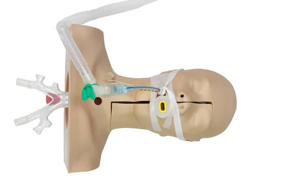 Visão de alto ângulo Treinamento de simulação médica de intubato traqueal — Fotografia de Stock