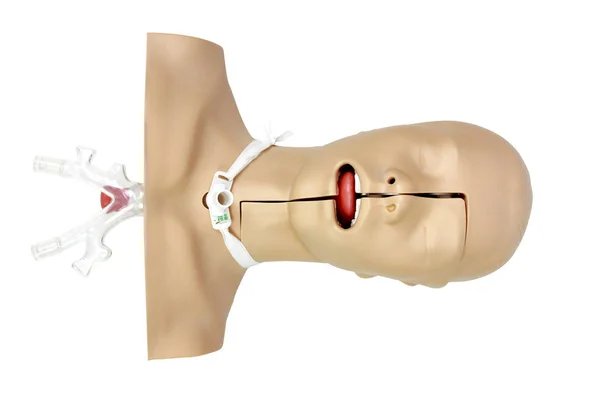 Medizinische Simulation Ausbildung Tracheostomie chirurgische Behandlung von Patienten — Stockfoto