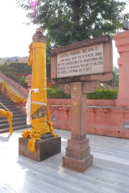 Mahabodhi tapınağı, Bodhgaya, Bihar. Hindistan