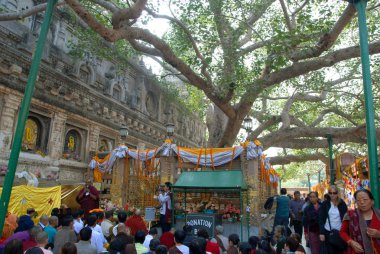 Budist tapınağının yakınındaki parkta dua eden erkekler