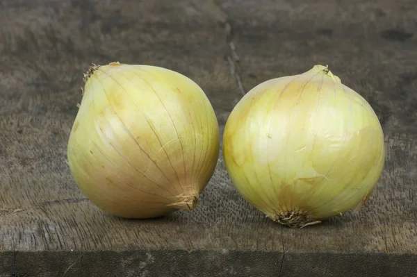 Close up two onions on wooden floor . — стоковое фото